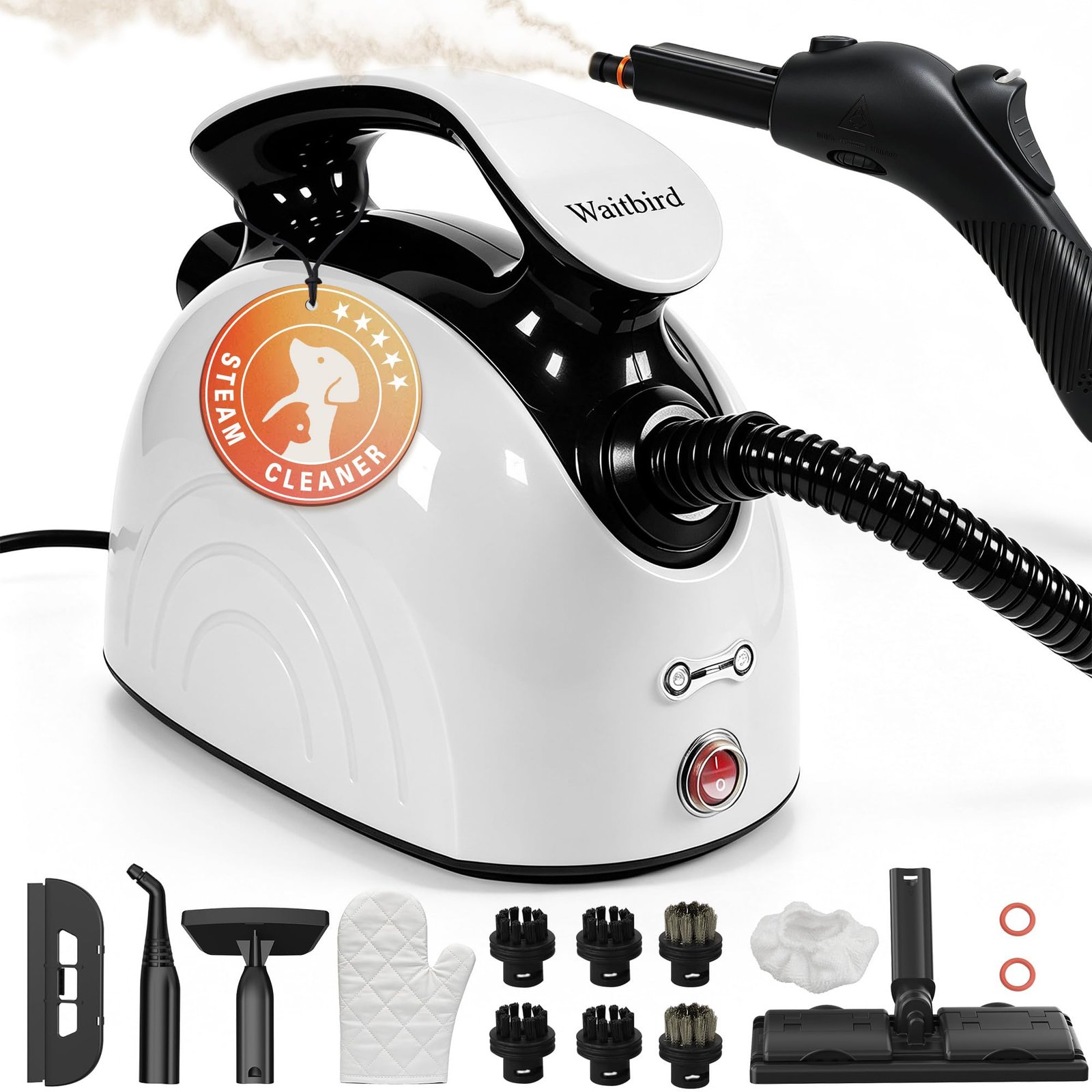 Waitbird 4.5 Bar 300°F Steam Cleaner for Bath...