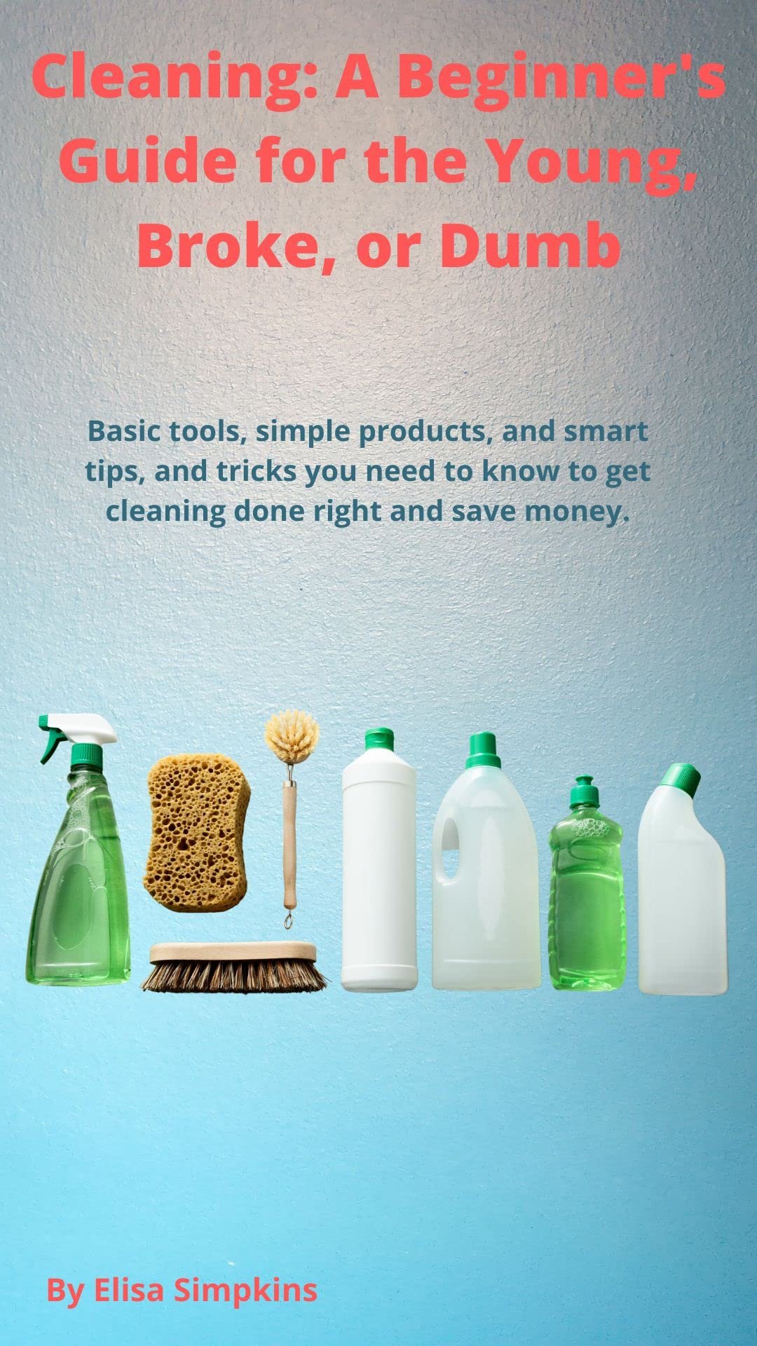 Cleaning: A Beginner